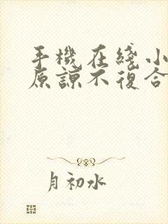 手机在线小说不原谅不复合苏小姐独美