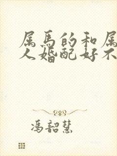 属马的和属蛇的人婚配好不好