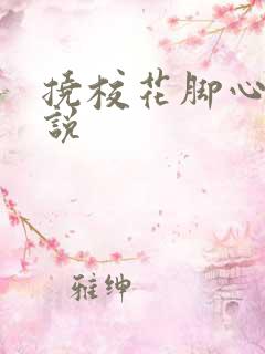 挠校花脚心的小说