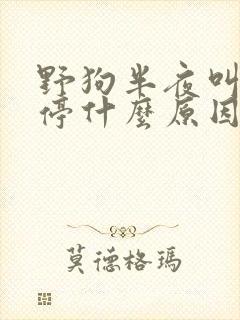 野狗半夜叫个不停什么原因