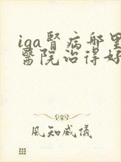 iga肾病哪里医院治得好