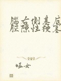 脑右侧基底节区腔隙性梗塞