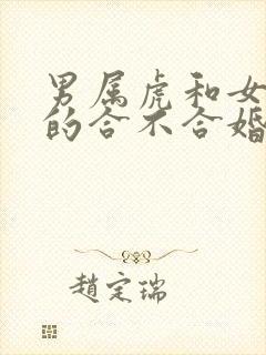 男属虎和女属牛的合不合婚