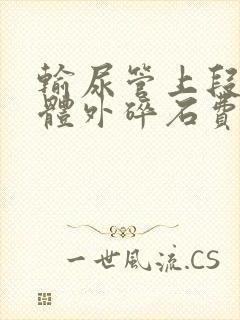 输尿管上段结石体外碎石费用多少