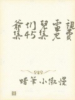 爷们儿电视剧全集45集免费