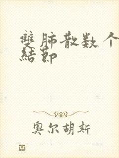 双肺散数个微小结节