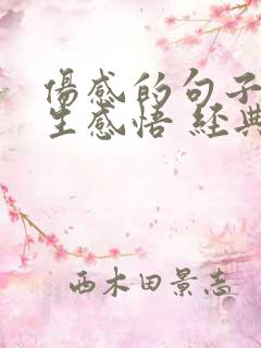 伤感的句子带人生感悟 经典语录