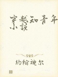 穿越知青年代的小说