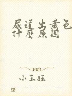 尿道出黄色液体什么原因