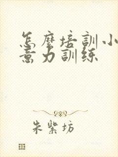 怎么培训小孩注意力训练