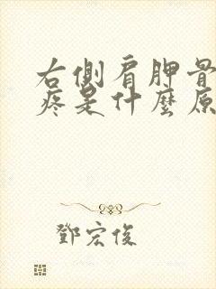 右侧肩胛骨里面疼是什么原因