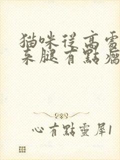 猫咪从高处摔下来腿有点瘸