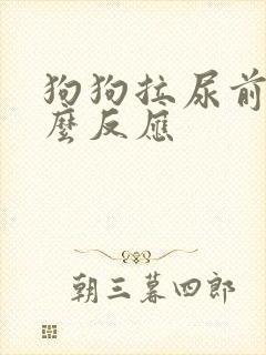 狗狗拉尿前有什么反应