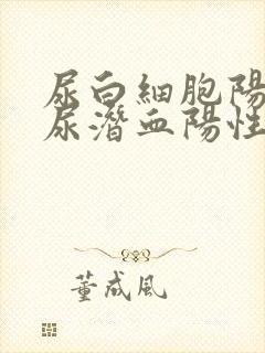 尿白细胞阳性,尿潜血阳性是怎么回事