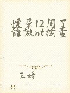 怀孕12周了还能做nt检查吗