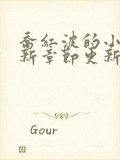 乔红波的小说最新章节更新时间