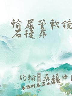 输尿管软镜取结石后疼