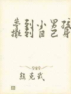 梦到小男孩撒尿撒到自己身上