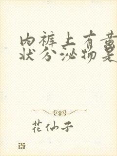 内裤上有黄色水状分泌物是怎么回事