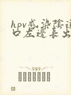 hpv感染阴道口左边长出长条淡粉色肉