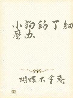 小狗的了细小怎么办