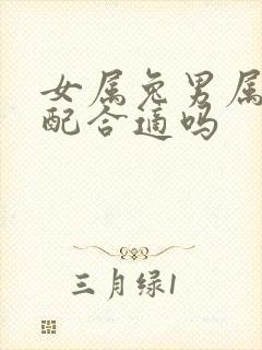 女属兔男属龙婚配合适吗