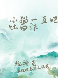 小猫一直吧唧嘴吐白沫