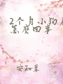 2个月小狗尿频怎么回事