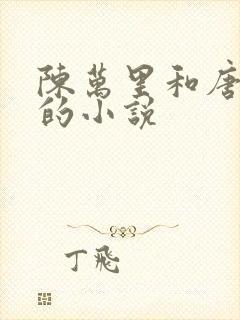 陈万里和唐嫣然的小说