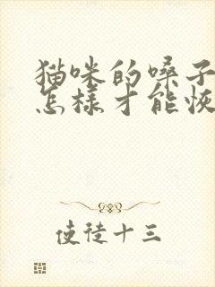 猫咪的嗓子哑了怎样才能恢复