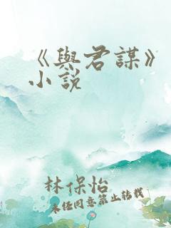 《与君谋》原著小说
