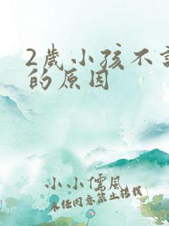 2岁小孩不说话的原因