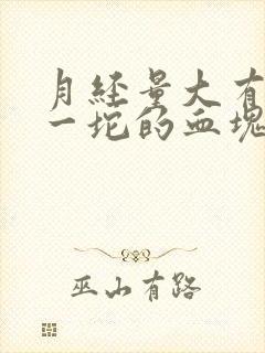 月经量大有一坨一坨的血块