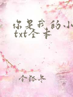 你是我的小美好 txt全本
