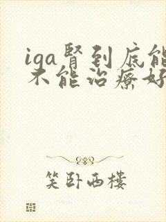 iga肾到底能不能治疗好呢