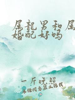 属龙男和属兔女婚配好吗