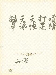 猫天天打喷嚏流鼻涕但是精神很好