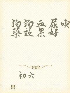 狗狗血尿吃什么药效果好