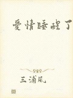 爱情睡醒了剧照