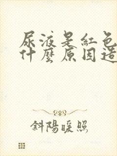 尿液是红色的是什么原因造成的