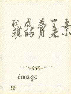 我成为了妻子父亲的月老小说