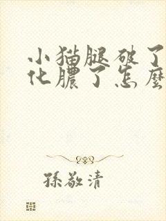 小猫腿破了发炎化脓了怎么办