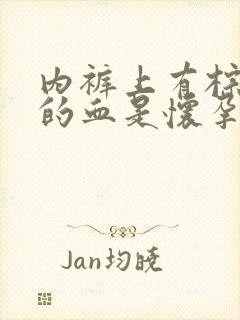 内裤上有棕褐色的血是怀孕了吗