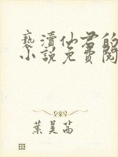 亵渎仙君的道侣小说免费阅读