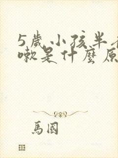 5岁小孩半夜咳嗽是什么原因引起的