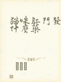 猫咪肛门发炎用什么药