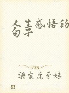 人生感悟的简短句子