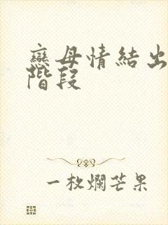 恋母情结出现的阶段