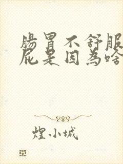 肠胃不舒服老放屁是因为啥