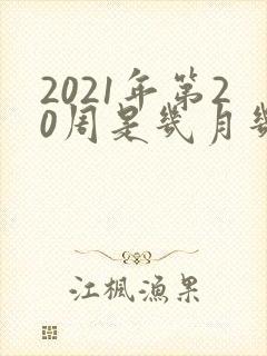 2021年第20周是几月几号
